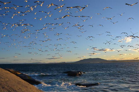 Narooma Motel - Hotel Accommodation 3