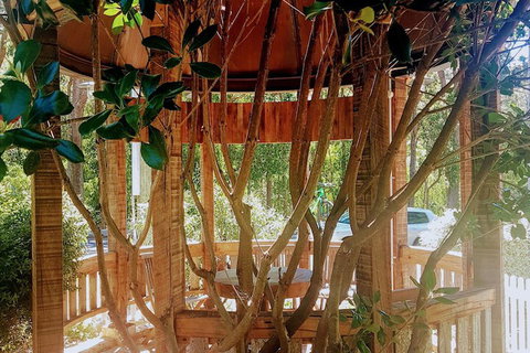 Adamsons Riverside Accommodation - Hotel Accommodation 1