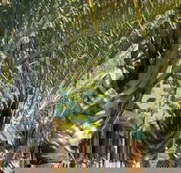 The Miners Rest Motel - Hotel Accommodation