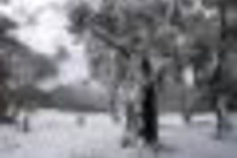 Twin Seasons 5 Deluxe Holiday Apartment - Hotel Accommodation 4