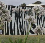 Zebras Guest House - Hotel Accommodation