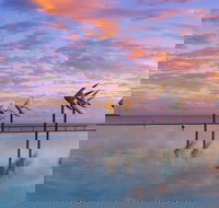 Global Backpackers Cairns - Hotel Accommodation