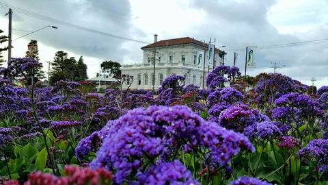 Georgia - Hotel Accommodation 3