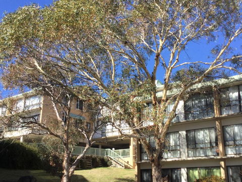 Kirwan Apartments 7 - Hotel Accommodation 5