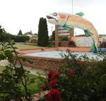 Big Trout Motel - Hotel Accommodation