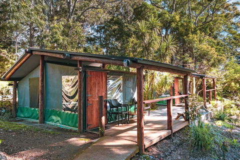 Binna Burra Rainforest Campsite - Hotel Accommodation 3