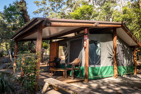 Binna Burra Rainforest Campsite - Hotel Accommodation 5