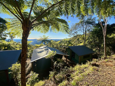 Binna Burra Rainforest Campsite - Hotel Accommodation 0