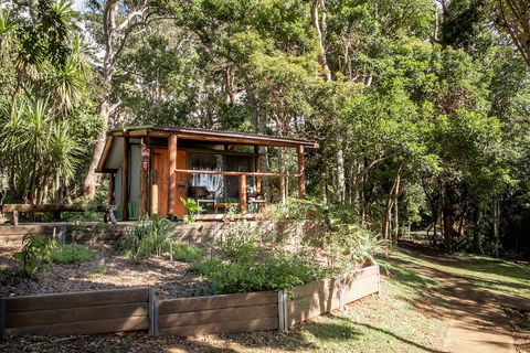 Binna Burra Rainforest Campsite - Hotel Accommodation 1