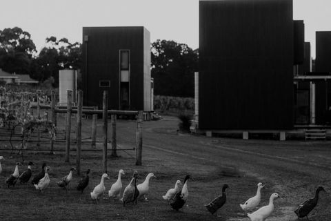 Barn Hives Yallingup - Hotel Accommodation 1
