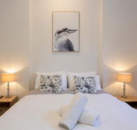 Dingo at White Gum Lodge - Hotel Accommodation