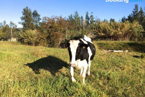 Old Schoolmasters Cottage On The Barrington River - Hotel Accommodation 1