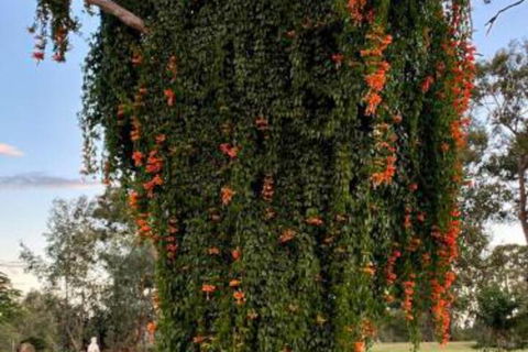 Amarina Farm Stay & Gardens - Hotel Accommodation 6