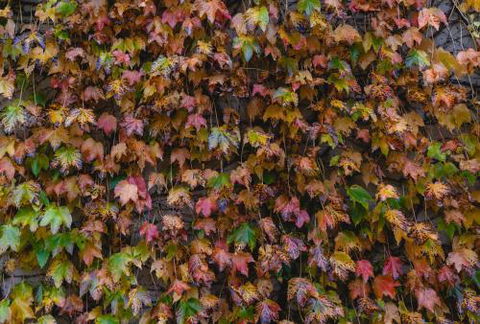 Killiorra - Hotel Accommodation 1