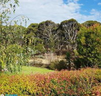 The Old Picnic Ground at Ironstone B  B - Hotel Accommodation