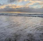 Sandpiper Motel - Hotel Accommodation