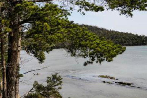 Rockpool Cottage - Hotel Accommodation 4