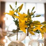 KUI Manhattan Apartments - Hotel Accommodation 0