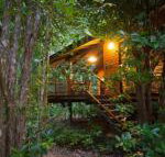 Wildwood - Hotel Accommodation