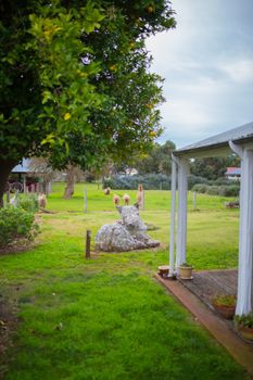 Davidsons Cottage - Hotel Accommodation 5