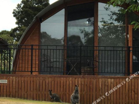 Bruny Island Accommodation 43 Degrees Beachside Studio Spa Apartments (1) - Hotel Accommodation 1