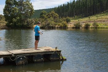 Nannup Valley Chalets - Hotel Accommodation 1
