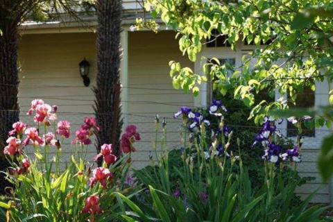 Eagles View Cottage Yarra Valley - Hotel Accommodation 1