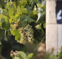 Ingenia Holidays Mudgee Valley - Hotel Accommodation