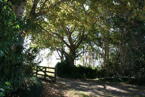 Maleny Mountain Retreat - Hotel Accommodation 0