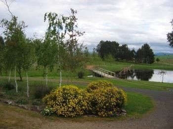 Buttercup Cottage & Private Apartment - Hotel Accommodation 3