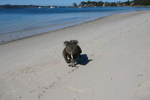 The Mitchells Waterfront Bed & Breakfast - Hotel Accommodation 7