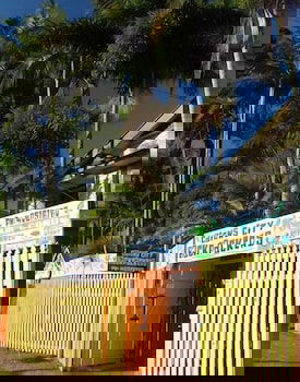 Cairns City Backpackers Hostel - Hotel Accommodation 1