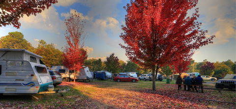 Beechworth Lake Sambell Caravan Park - Hotel Accommodation 3