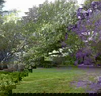 Petersons Armidale Winery  Guesthouse - Hotel Accommodation