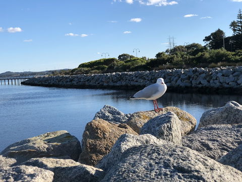 Albany Foreshore Guest House - Hotel Accommodation 3