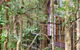Amytis Gardens Retreat & Day Spa - thumb 1