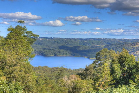 Montville Misty View Cottages - Hotel Accommodation 1