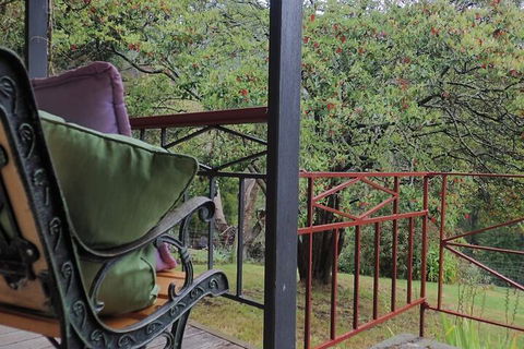 Glenbrook House And Cottage - Hotel Accommodation 1