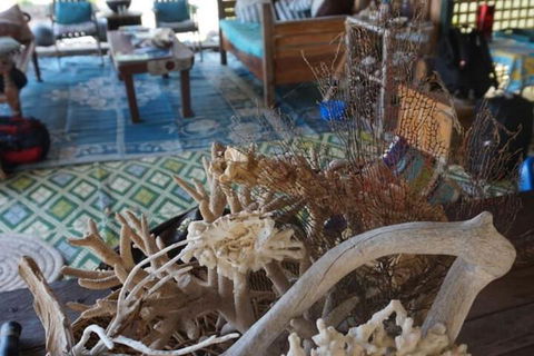 Bremer Island Banubanu Beach Retreat - Hotel Accommodation 5