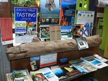 Rainforest Hideaway - Hotel Accommodation 2