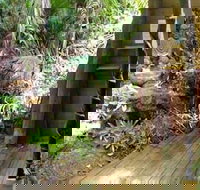 Rainforest Hideaway - Hotel Accommodation
