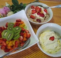 Jacaranda Creek Farmstay  B  B - Hotel Accommodation