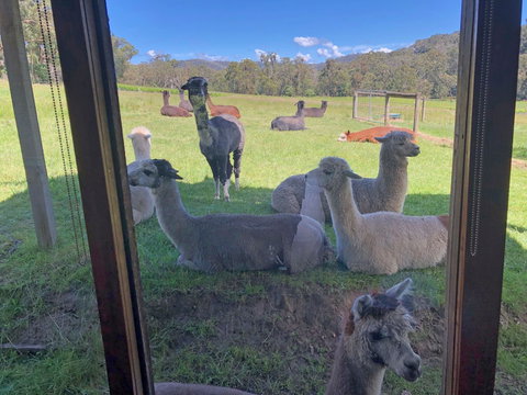 Valley Farm Vineyard Cottages - Hotel Accommodation 2