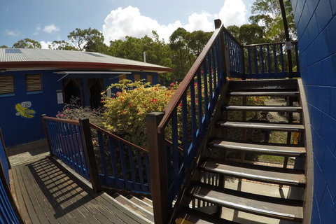 Cool Bananas Backpackers - Hotel Accommodation 5