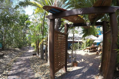 Cool Bananas Backpackers - Hotel Accommodation 6