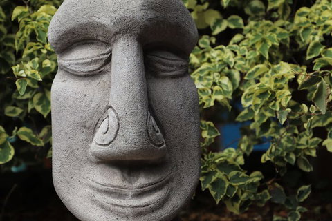 Cool Bananas Backpackers - Hotel Accommodation 1