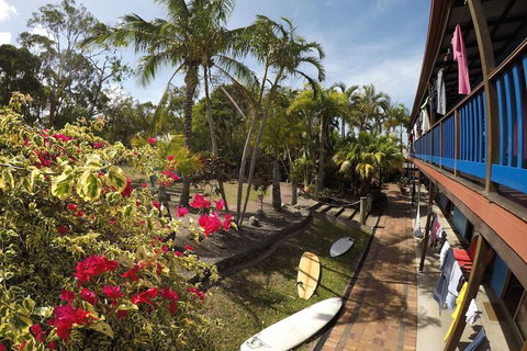 Cool Bananas Backpackers - Hotel Accommodation 2