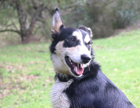 Johanna River Farm & Cottages - Hotel Accommodation 4