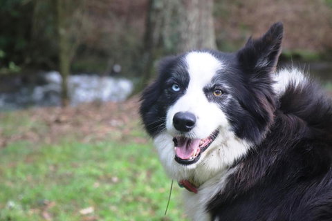 Johanna River Farm & Cottages - Hotel Accommodation 3