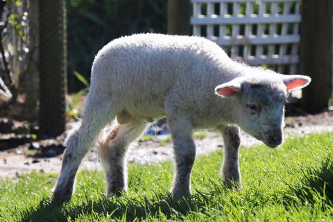 Johanna River Farm & Cottages - Hotel Accommodation 2